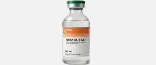 nembutal oral liquid